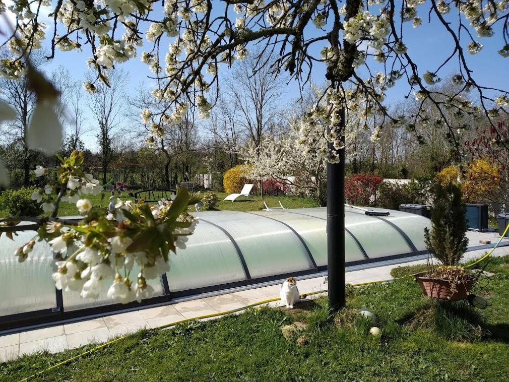 Bed and Breakfast La Longere Des Gillettes Bezenet Екстер'єр фото