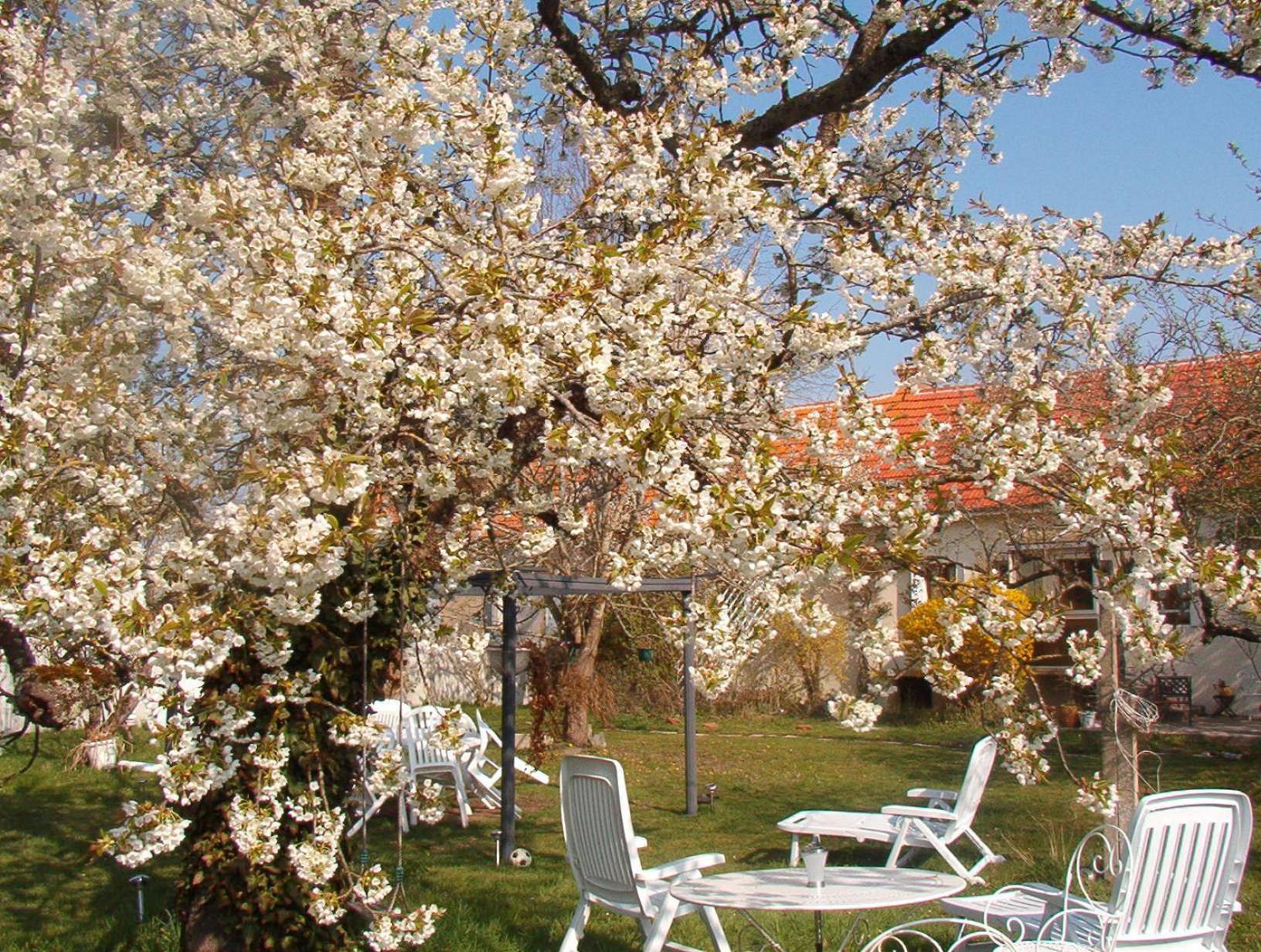 Bed and Breakfast La Longere Des Gillettes Bezenet Екстер'єр фото